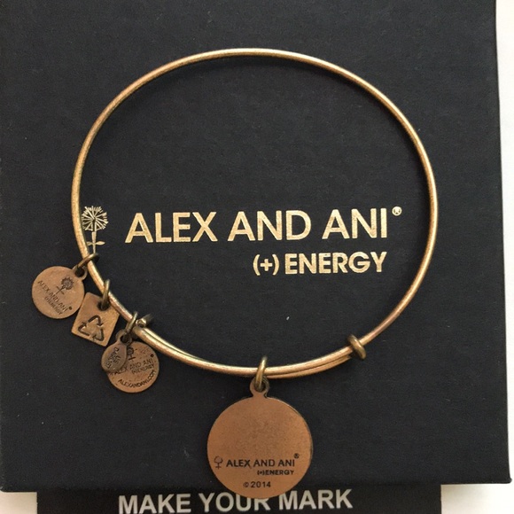 Alex and Ani make your mark world charm bracelet - Picture 2 of 2